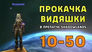 Видяшка на прокачку - Паладин в препатче WOW Shadowlands - Стрим #4