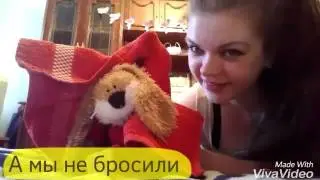 Куда пойти с ребенком в Москве - контактный зоопарк. Котятки-Тумасятки и смешные зверушки
