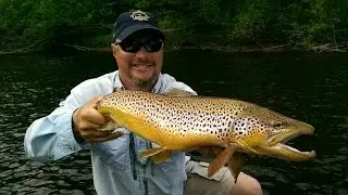 Michigan Trout Fishing - Muskegon River Trout Fishing Sucker Spawn