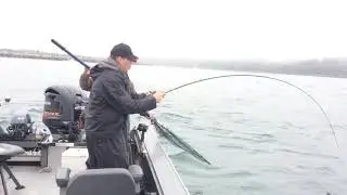 Tillamook Bay Fall chinook - St.Laurent Guide service