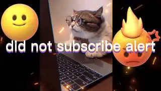 happy and angry CAT