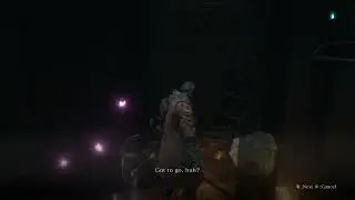 Sekiro Adventure continues (Mibu Village)