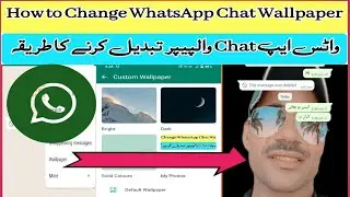 How to Change WhatsApp Chat Wallpaper 2024