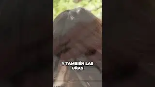 Cabello mas sano y fuerte con la hortiga brillo y volumen irresistibles