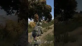 Перестрялял игрока зажимом #dayz #dayzshorts #dayzstandalone #sueta