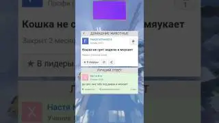 Гениальные ответы mailru как смысл жизни 