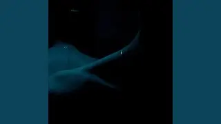 Бренди