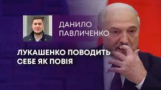 ТВ7+. ЛУКАШЕНКО ПОВОДИТЬ СЕБЕ ЯК ПОВІЯ