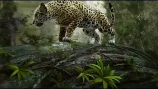 El jaguar