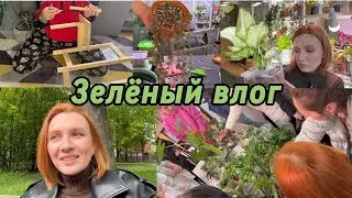 ВЛОГ | Новая подставка для растений | Черенкование Церопегии | Мой первый своп