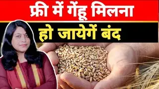 फिर होगी पूरी जांच, जो गरीब नहीं है उन्होंने भी अनाज लिया उनसे होगी वसूली