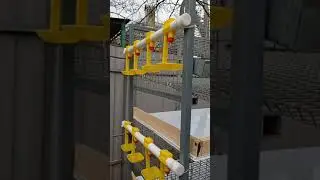 клеточная батарея для перепелов