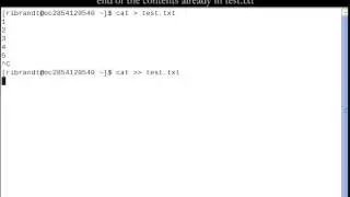 Linux Command (Cat)