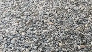 A rock falling