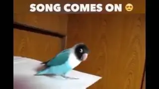 This will make your day