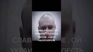 чвк реданы нефоры 