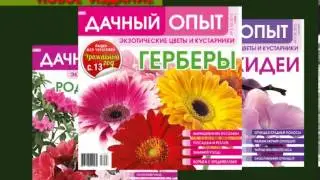 Журнал "Дачный опыт"