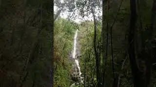 falls