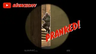 Bäumchen @ CSGo #1