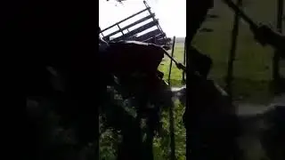 amor es solo una amiga