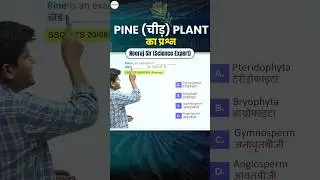 Railway Science - Pine Plant का Question #shortsfeed #shorts  #neerajsir #sciencemagnet