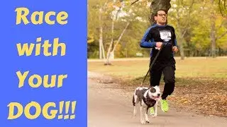 Race with Your Dog!!!