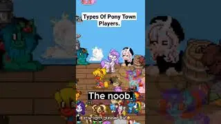 Types Of Pony Town Players. | 