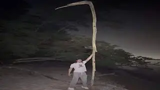 Absurd Memes I Found On The Island