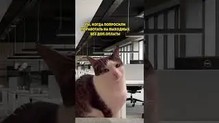 Начальство умеет уговаривать ☹️ 