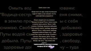 26 августа 2024 г.