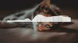 Basement Three - Everytime I Say (World Tribe Remix)
