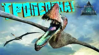 ХОХОТУНЫ Тропеогнаты - Beasts of Bermuda