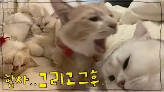 합사..그리고 그후^^..