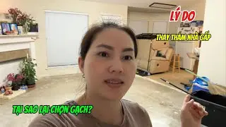 #519|| Lý Do LỘT THẢM LÓT GẠCH Và Những Cái Phát Sinh ? _ Vì Sao Không Thuê Thợ Làm Cho Đỡ Vất Vả?