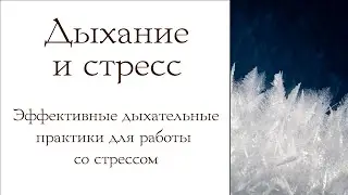 Дыхание и стресс. Эффективные дыхательные практики для работы со стрессом