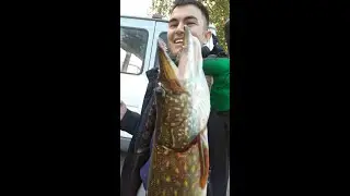 Щука с Язмуратам