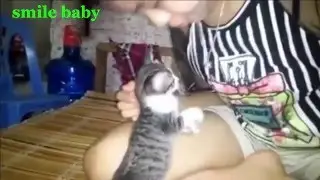 Funny videos    Funny cats    Cats funny compilation 2015 part3