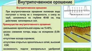 СПОСОБЫ ОРОШЕНИЯ И ТЕХНИКА ПОЛИВА