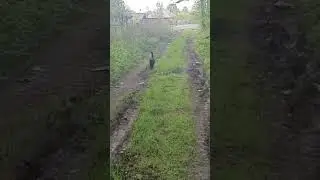 1 мая 2024 г.
