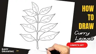 How to draw Curry Leaves - Easy Curry Leaves Drawing