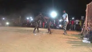 Combat yekini vs madouka 5 juin à Dondou