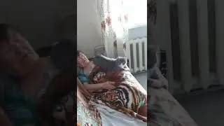 Кошка Соня и бабушка