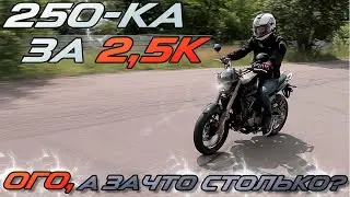 GEON STINGER 250R - Что он и для чего?