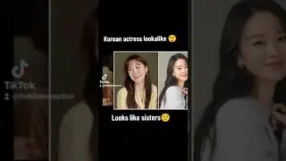 Korean celebrity look alike
