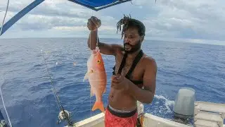 Catching Some Nice Yellow Eyes Snappers In The Rain While Deep Sea Fishing