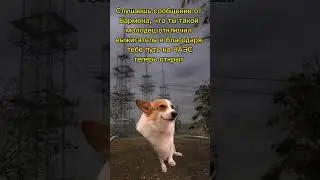О ДА, ЭТО КАЙФ 