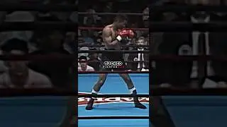 Why Bernard Hopkins Was SO Good🥊