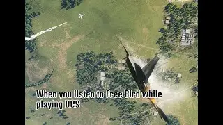 When you listen to Free Bird while playing DCS