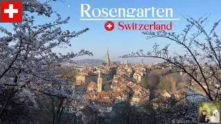 Rosengarten Bern - Spring vibes in Switzerland 4K