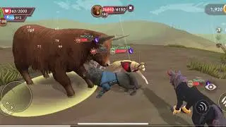 Killing yak boss